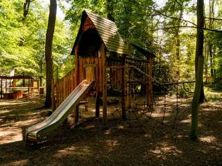 Wildpark Reuschenberg – Bild 5