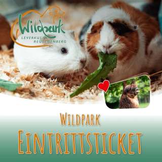 Wildpark Reuschenberg – Bild 6