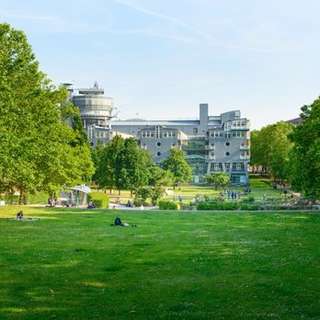 Michelwiese – Bild 4