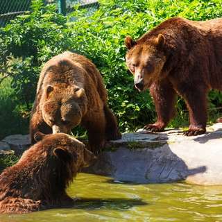 Freizeit- und Erholungspark Possen mit eintrittsfreiem Tierpark – Bild 3