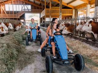 Blauer Gockel - Bauernhof- und Landurlaub e.V. – Bild 2