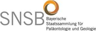 Bayerische Staatssammlung für Paläontologie und Geologie – Bild 2