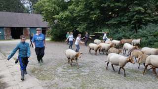 Schulbauernhof Ummeln – Bild 4