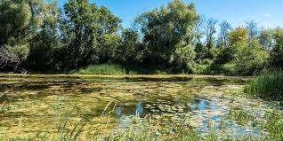 Potter's Creek Playground – Bild 2