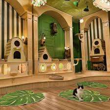 Cleocatra Café - Cat Cafe – Bild 1