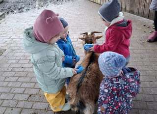 Unsere Bauernhofkita – Bild 1