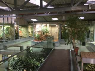 Zoo Neuwied – Bild 4