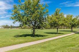 James Anderson Park – Bild 5