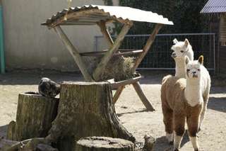 Familienunternehmen Ruden – Bild 4