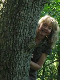 Kinderwald MK – Bild 4