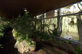 Terrarium & Insektarium – Bild 2