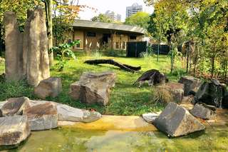 Terrarium & Insektarium – Bild 5