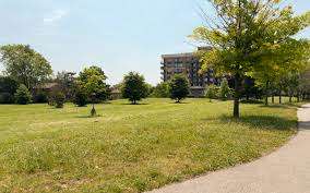 Massey Grove Park – Bild 3