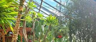 Regina Floral Conservatory – Bild 2