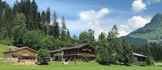 Bio-Bauernhof Wald am See – Bild 1