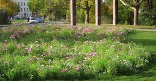 Nordstadtpark – Bild 5