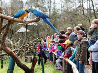Tierpark Herborn GmbH – Bild 1