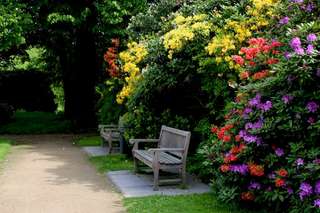 Bürgerpark – Bild 2