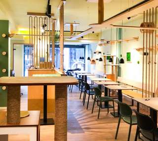 Katzentempel Minden – Bild 1