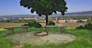 Grillplatz Gau-Algesheimer Weg – Bild 1