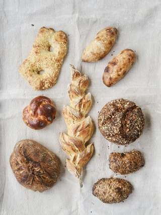 Stadtpark Fürth – Bild 2