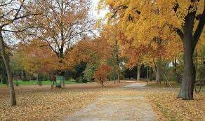 Kannenfeldpark Basel – Bild 5