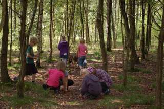 Bauernhof im Feldpark – Bild 3