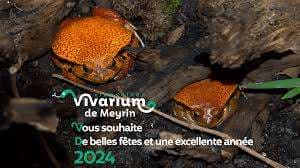 Vivarium de Meyrin – Bild 1