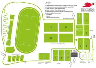 Fußballplatz und Netzspinne – Bild 1