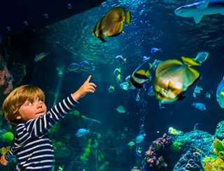 SEA LIFE Oberhausen – Bild 2