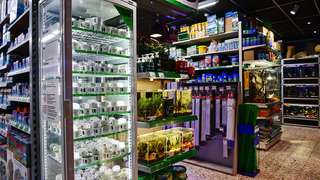 Aquado-Zoo – Bild 4