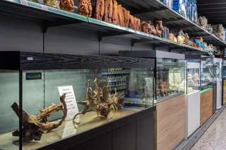 Aquado-Zoo – Bild 5