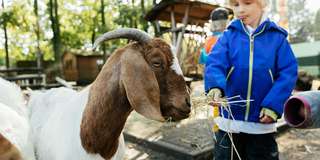 Fröbel-Integrationskindergarten Bauernhofkindergarten Mölkau – Bild 4