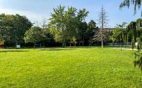 Jack Goodlad Park – Bild 6