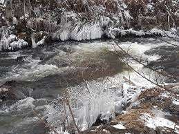 Larch Park – Bild 5