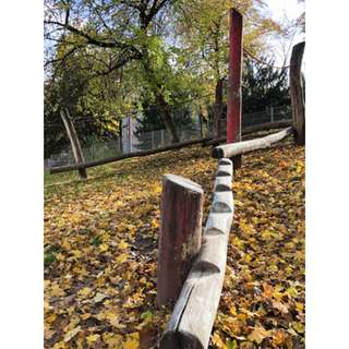 Spielplatz Leipziger Platz / Ludwigstraße – Bild 5