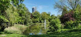 Stadtgarten – Bild 3