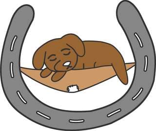 Ferienwohnungen Zum Faulen Hund – Bild 1