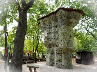 Kletterturm (8m) SportJugendClub Arena – Bild 1