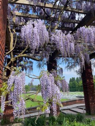 Café im Nordpark – Bild 6
