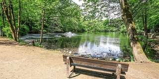 Volkspark – Bild 4