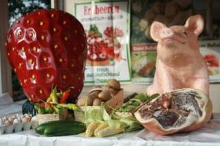 Bauernhof Schulte-Göcking – Bild 2