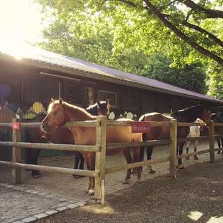 Jugendfarm Sindolino – Bild 2