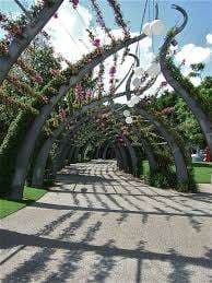Louisa Gardens - Sydney's Northend Park – Bild 2