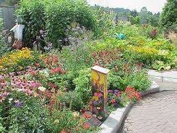 Louisa Gardens - Sydney's Northend Park – Bild 6