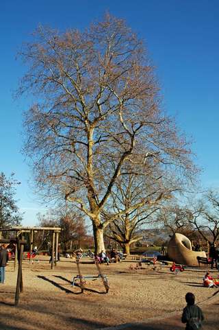 Kinderspielplatz – Bild 1