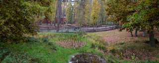 Wildgehege Klövensteen – Bild 1