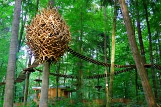 Mainau Erlebniswald * Kletterwald * - Klettergarten - Seilpark – Bild 1