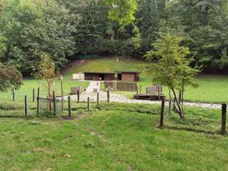 Tiergehege Südpark – Bild 1