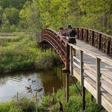 RBG Hendrie Valley Sanctuary – Bild 3